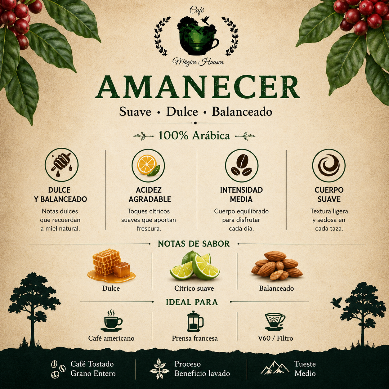 Café Amanecer de Café Mágico Huasca café 100% arábica de Jalisco