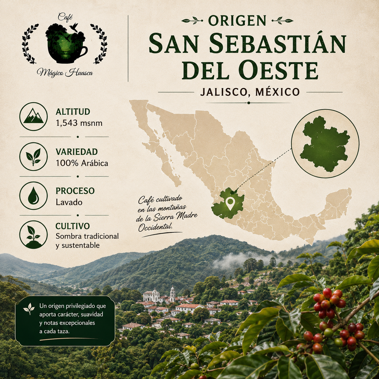 Origen del Café Amanecer cultivado en San Sebastián del Oeste Jalisco